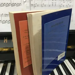 Đại tiểu hồng bào 1025661