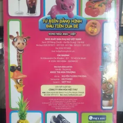 Từ điển bằng hình đầu tiên của bé - Song ngữ Anh Việt dành cho bé 0-6 tuổi 714143