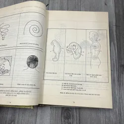 Tích hợp đa văn hoá đông tây cho một chiến lược giáo dục tương lai. 8b2 738673