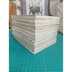 TRUYỆN TRANH TRƯỜNG CA HÀNH 309309