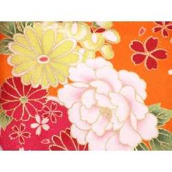 Bộ sản phẩm trẻ em - Hàng hiệu Authentic 878524