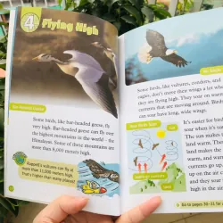 Oxford read and discover (Sách nhập) - Level 3 - 20 quyển + File Mp3 1038351