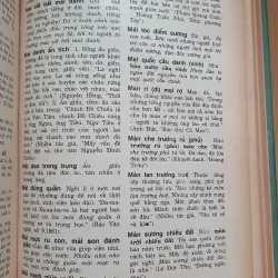 TỪ ĐIỂN THÀNH NGỮ VIỆT NAM  759600