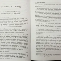 RECHERCHE SUR L'IDENTITÉ DE LA CULTURE VIETNAMIENNE 557335
