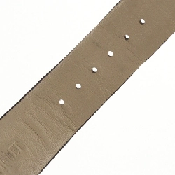 Audemars Piguet Royal Oak YG 14800BA YG tự động - Hàng hiệu Chính hãng 879927