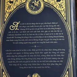 Combo không gia đình + đỉnh gió hú (bìa cứng) 998283