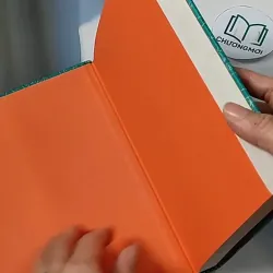 [MIỄN PHÍ BỌC SÁCH] Diary of a Wimpy Kid 18 703113