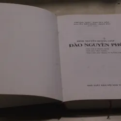 Đinh Nguyên Hoàng Giáp Đào Nguyên Phổ 973730