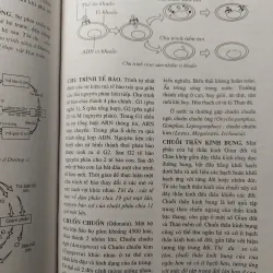 TỪ ĐIỂN SINH HỌC PHỔ THÔNG - BÌA CỨNG, KHỔ LỚN, CÓ MINH HỌA 732250
