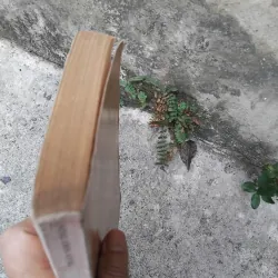 Văn học trung đại Việt Nam dưới góc nhìn văn hóa của GS Trần Nho Thìn  1022805