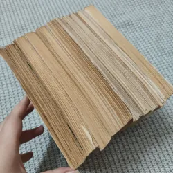 Tây Du Ký 1993 - Ngô Thừa Ân 977201