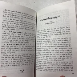 Cách chọn cây mai đẹp 799848