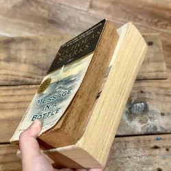 Combo Sách Nicholas Spark - See Me/Message In A Bottle 736327