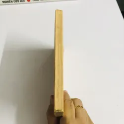 CONTES ET LÉGENDES DU PAYS D’ANNAM (Lê Văn Phát) 1925 752731