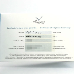 Breguet Type XXI 3817ST/X2/3ZU SS tự động - Hàng hiệu chính hãng 882020