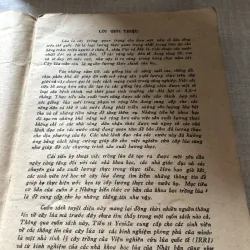 Những kiến thức cơ bản của khoa học trồng lúa 975867