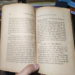 Một Bông Hồng Cho Tình Yêu - Ý Anh Bùi Trần Lục 1010526