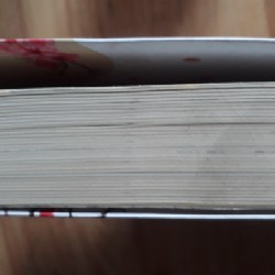 Nhớ ai đó đến kiệt quệ - Lan Rùa 15412