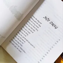 Cánh cửa rộng mở 🌻 592260