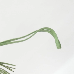 Túi charm Hermes Rodeo Pegasus PM 083010CA - Hàng hiệu Chính hãng 773715