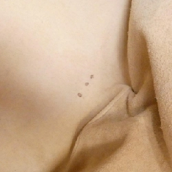 Bottega Veneta 194900 VG0DO túi 614290