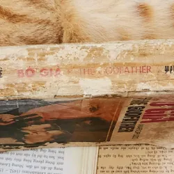 Tác phẩm văn học kinh điển của Mario Puzo: BỐ GIÀ 716941