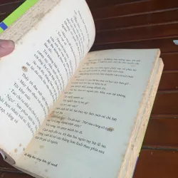 Tôi thấy hoa vàng trên cỏ xanh 1045100