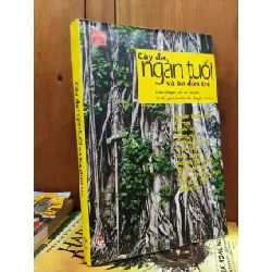 Cây đa ngàn tuổi và ba đứa trẻ - Nhiều tác giả 608338