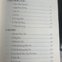 Hai Cánh Nhà Ni - Tỳ Kheo Ni Hải Triều Âm 718746