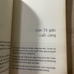 Những mãnh vỡ 524379