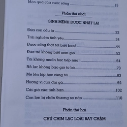 Con không ngốc con chỉ thông minh theo một cách khác 544197