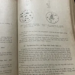Một số phương pháp nghiên cứu sinh vật học 2 -320 trang khổ lớn;1976 1009228