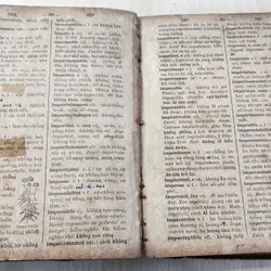 PETIT DICTIONNAIRE FRANCAIS - ANNAMITE
par J.-B.-P TRƯƠNG - VĨNH - KÝ
 1920 562054