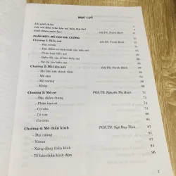 MÔ - PHỔI PHẦN MÔ  1013038