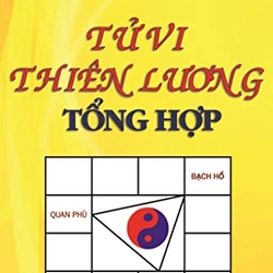 Tử Vi Thiên Lương Tổng Hợp – Thiên Lương

