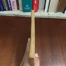 II Sách Phật Giáo: Am Mây Ngủ - Thích Nhất Hạnh - Lá Bối 631514