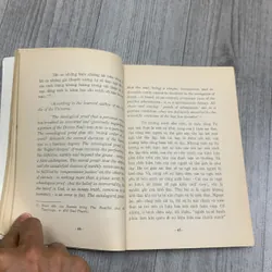 Tìm hiểu nhân sinh quan phật giáo. 2b1 717844