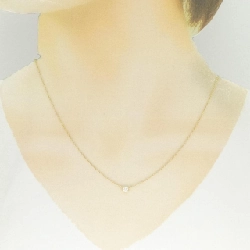 Dây chuyền Tiffany By The Yard - Hàng hiệu Authentic 841493