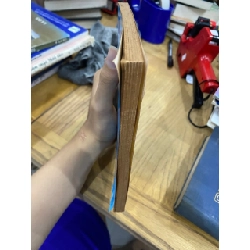 Trần Tế Xương - PTS. Hồ Sĩ Hiệp 531897