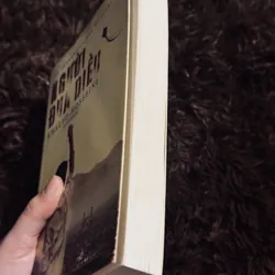 Người đua diều 714609