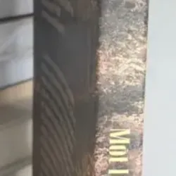 Một linh hồn phiêu bạt - Trương Quang Đệ 712173