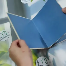 Ý Hoa ( Song Ngữ) - Hồ Anh Thái 750833