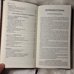 Common Buddhist Text - Guidance and Insight from the Buddha (Phật Điển Phổ Thông) 783197