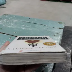 Trí Tuệ Xúc Cảm" (Emotional Intelligence) của tác giả Daniel Goleman.
 703819