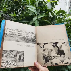 Dưới Lá Cờ Vẻ Vang Của Đảng 706340