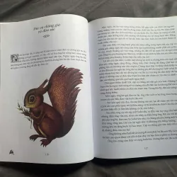 Truyện cổ triều tiên 702048