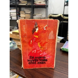 Bí mật về Huyền Trân Công Chúa - Việt Linh