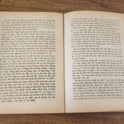 Tác phẩm VH kinh điển: RUỒI TRÂU (1971) 751147