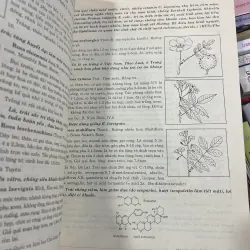 CÂY CÓ VỊ THUỐC Ở VIỆT NAM - PHẠM HOÀNG HỘ  1031526