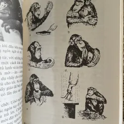 Âm sinh học lý thú- dịch từ tiếng Nga  1026243